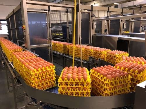 Mitarbeiter in der Produktion