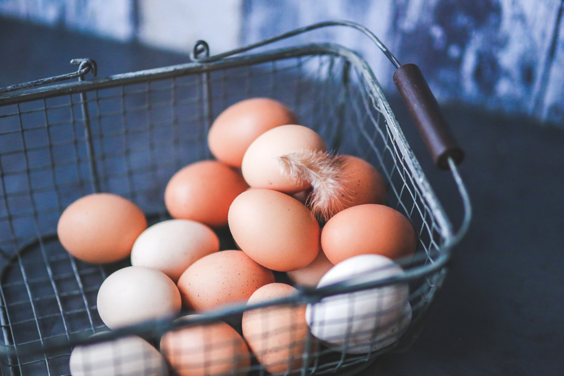 Eier aus Bodenhaltung