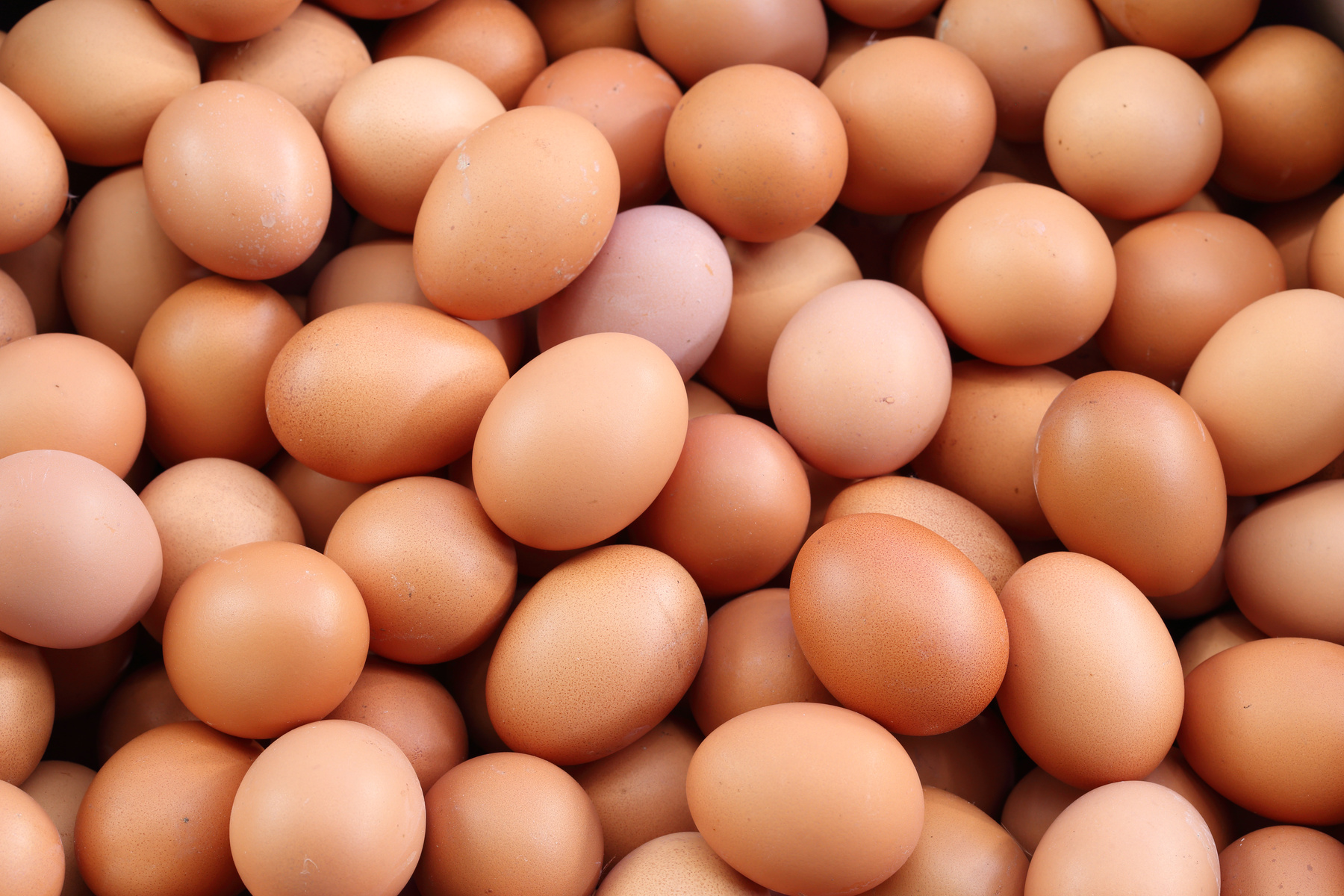 Eier aus Bodenhaltung